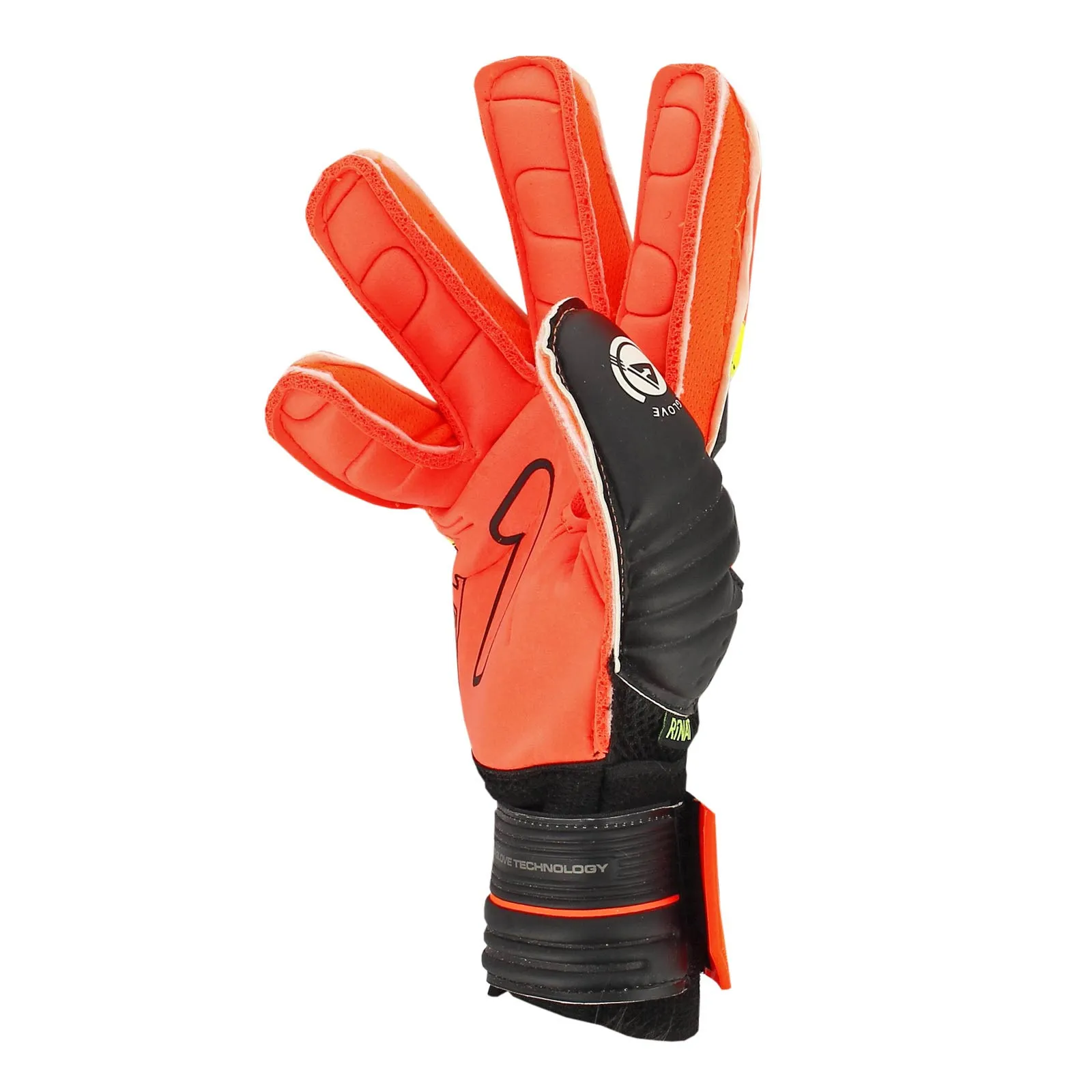 Rinat Kancerbero Invictus Turf
